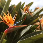 公寓 Cliff View Iii - Sea View + Pool + Wifi *