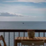 Cliff View Iii - Sea View + Pool + Wifi 公寓 丰沙尔